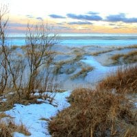 beach dunes in winter