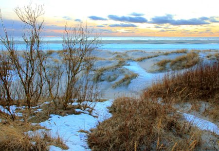 beach dunes in winter - dunes, winter, beach, brushes, sea