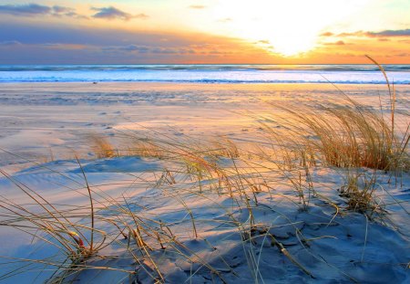 sunset on a beautiful beach - clouds, beach, sunset, sea, grass