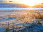 sunset on a beautiful beach