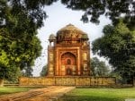 bats in the belfry in delhi