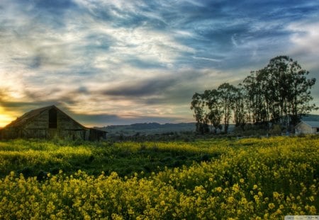 wondrous sunset over old barn - sunset, farm, barn, fields