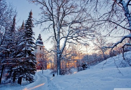 country church in winter - tower, winter, trees, church