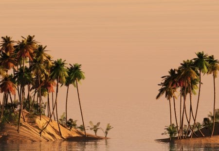 palms on dune islands - palms, dines, sea, islands