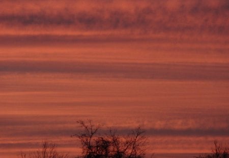 Painted Sky - morning, morning sky, sky, clouds