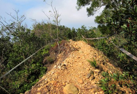 Challenge the steep mountain - rope, challenge, steep, mountain, tree