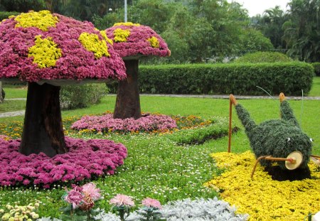 Flower display - flower, lovely, display, beautiful