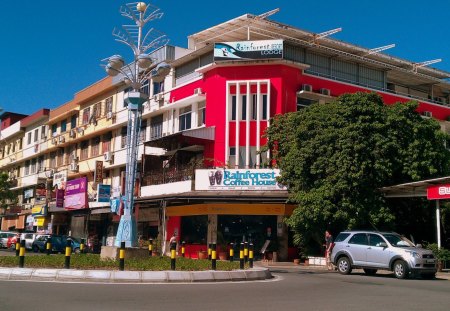 RainForest Coffehouse - coffe house, paradise, tropical, building