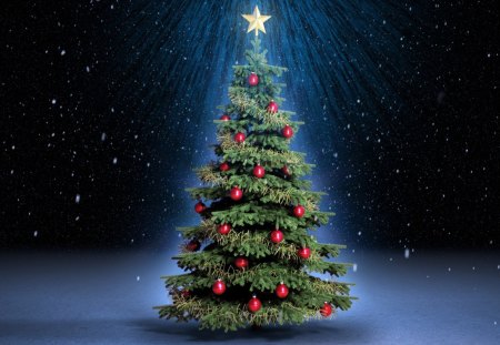 Christmas Tree - christmas, pine tree, tree, classic