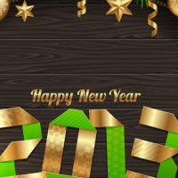 2013-Happy-New-Year