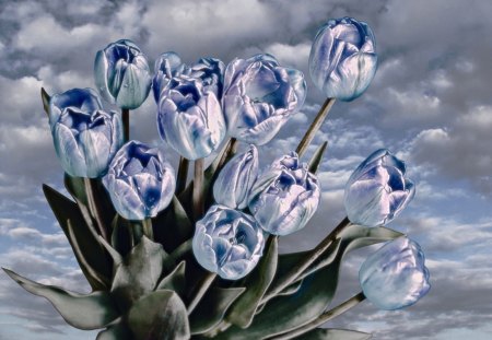 â™¥ Heavenly Blue â™¥ - sky, motion, tulips, bouquet, spring, heaven, nature, romantice, floral, blue, clouds, flowers