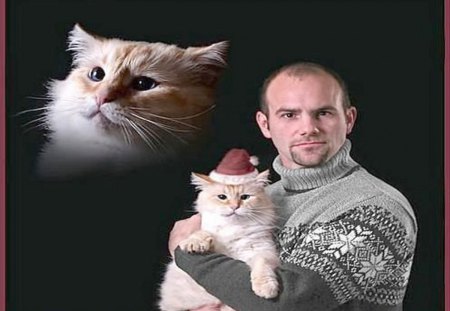 Man and cat - paws, face, pretty, cute, animals, beauty, beautiful, sweet, cat, kitty, cats, kitten, hat, lovely, cat face