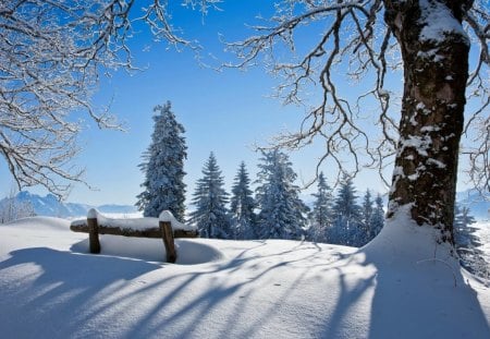 Winterland - nice, sky, trees, sun, bench, field, cold, icy, frozen, winterland, ice, rays, mountain, winter, deep, lovely, nature, snow, blue, beautiful, frost, rest