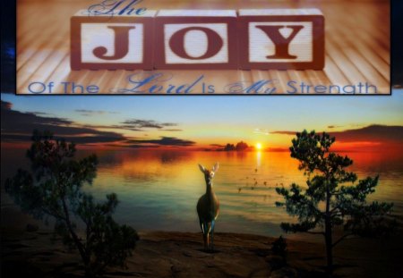 The Joy of the Lord - holy spirit, jesus, landscape, god, ocean, joy, bible verses, scriptures, sunset, nature, deer, bible, lake