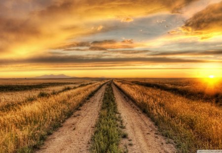 magnificent road at sunset hdr - road, clouds, fields, sunset, hdr