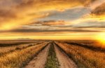 magnificent road at sunset hdr