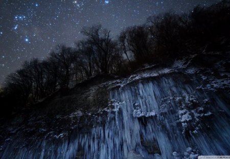 stars above an iced cliff - stars, trees, cliff, night, icicles