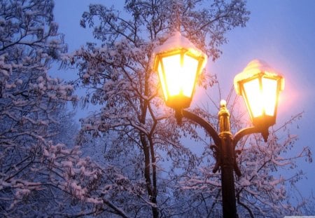 lamp posts in winter - trees, winter, lights, posts, lamps