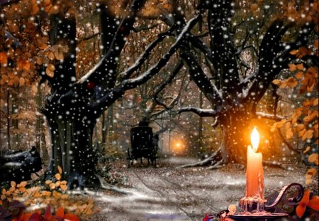 Light in the forest - warmth, magic, snowflakes, cart, evening, snow, night, forest, light, eve, alleys, path, holiday, fairytale, merry christmas, trees, winter, candle, flame, christmas, glow, new year, bright, dusk, park