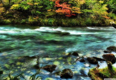 beautiful river in patagonia hdr - hdr, river, forest, rocks