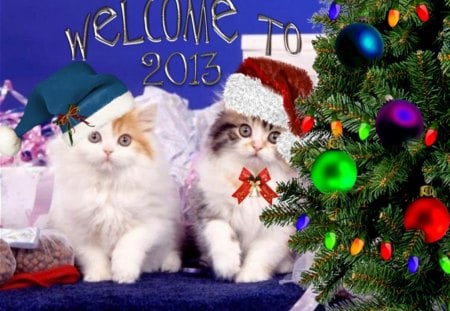 Welcome to 2013 - 2013, to, welcome