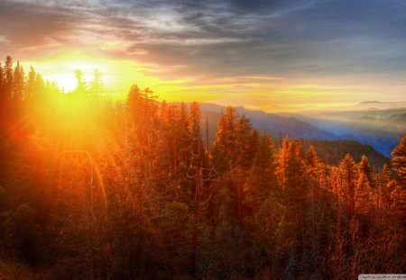 sunset on forest in yosemite hdr - clouds, sunset, hdr, forest, valley