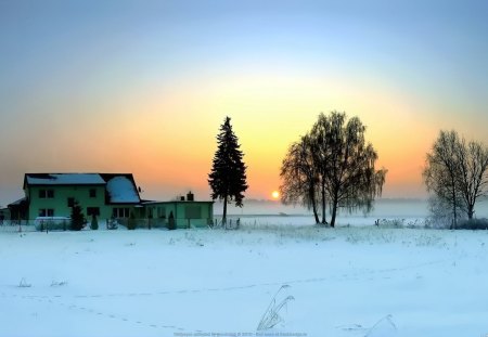 Winter - hot, sun, winterscape, colorful, field, white, amazing, frozen, snowy, trunks, branches, way, wallpaper, ambar, nature, pink, leaves, pines, nice, sky, trees, photography, image, green, ice, houses, village, town, cold morning, blue, awesome, gray, countires, natural, amber, horizon, meadow, widescreen, view, cold, cool, trail, golden, sunny, dusk, landscape, country, maroon, pathway, snow, dawn, photoshop, sunrise, leaf, bea, brown, multicolor, clouds, sunsets, orange, icy, morning, background, winter, gold, picture, twilight, colors, photo