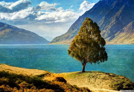 tree by a lake hdr - lake, clouds, tree, mountains, hdr