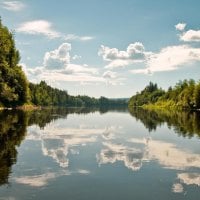 mirror river through rainforest