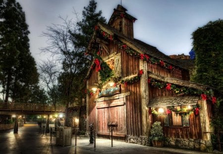 Christmas eve - house, christmas, trees, lights, road, eve