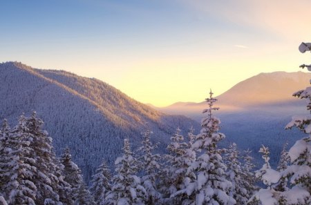 Winter - winter, sunset, forest, mountains