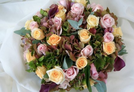 Pretty flowers - delicate, rose, petals, soft, flowers, bouquet, blooms, nature