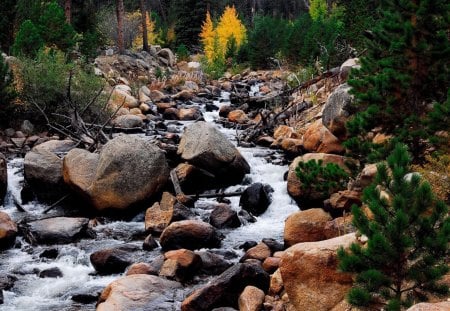 running water - river, trees, nature, cool