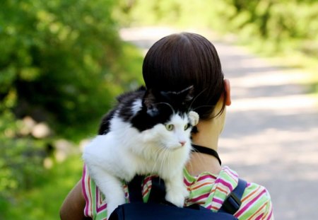 Girl and cat - cat, spring, girl, road