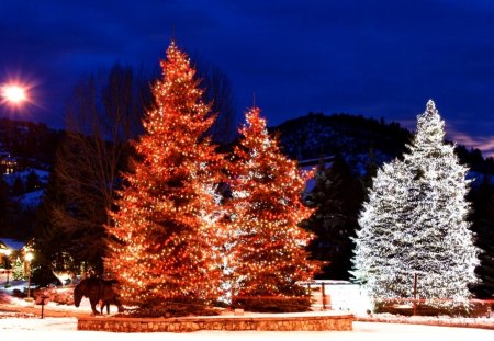 HOLIDAY DECORATION - colorado, beaver creek, christmas and new year, usa