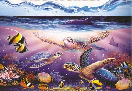 UNDER THE SEA - turtle, water, marine life, fish, sea, ocean