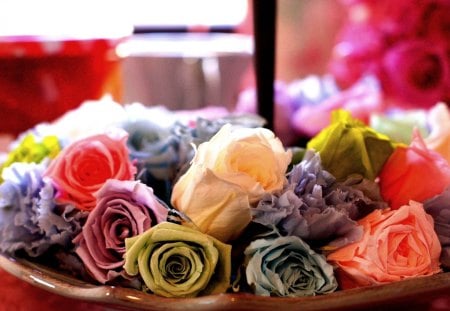 COLORS of ROSES - flowers, roses, display