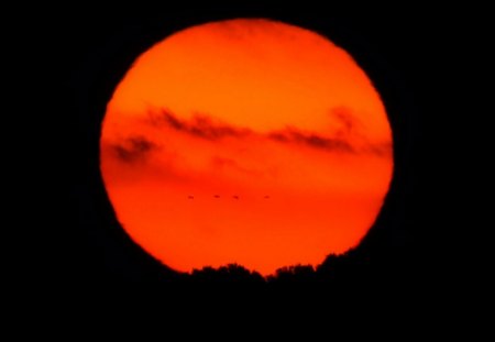 SUN is SETTING - red, sunset, birds, shadow