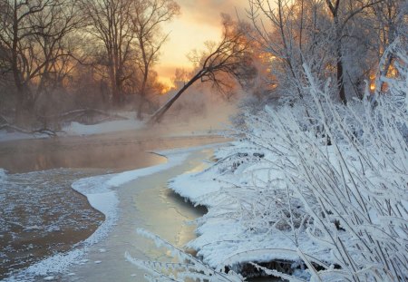 Winter - frosty, xmas, greeting, shine, other, whiter trees, amazing, cool, cold, holiday, frozen, silent, shining, nature, splendidly, celebration, beautiful, seasons, travels, peaceful, photography, mountains, wonderful, mist, gorgeous, quiet, winter time, rivers, magnificent, winter, christmas, splendor blue in winter, splendor, miracle, fog