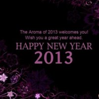 Happy New Year 2013