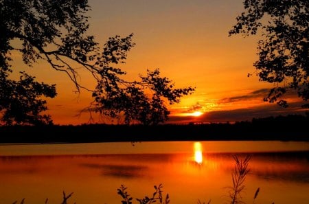 GOLDEN SUNSET - lake, nature, sunset, golden