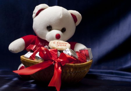 ~ It’s You I Love♥ ~ - pretty, teddy beart, plush toy, i love you, deep blue background, ribbon, winter, forever, present, lovely, sweet, basket, wonderful, white, nature, cold season, red bow, gift