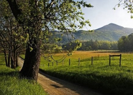 Mountain Road - sky, trees, mountain, field, road