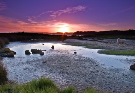 sunset - nature, lake, sunset, cool