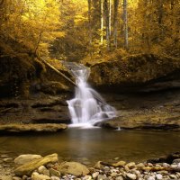 Waterfall in a yellow wood, Switzerland