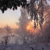 áƒ¦.Beautiful Foggy in Winter.áƒ¦