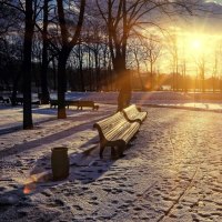 Rays of Light before Sunset