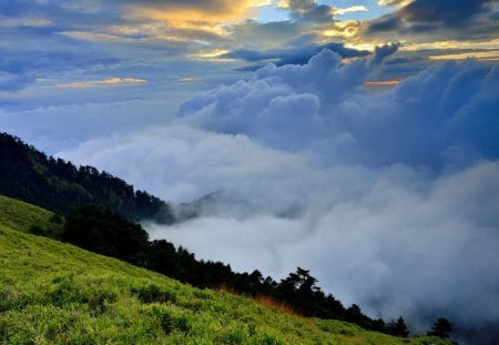 foggy mountain - hill, foggy, mountain, grass