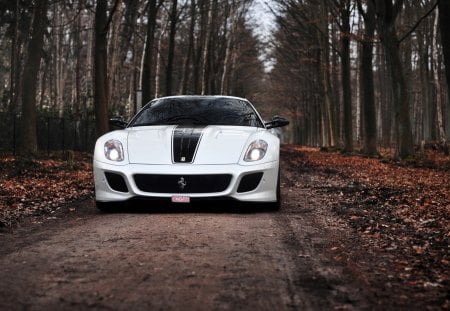 ferrari 599 - ferrari, tree, forest, 599