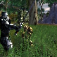 Why Darkfall is Important